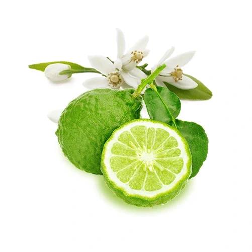 Note Bergamot