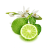 Note Bergamot