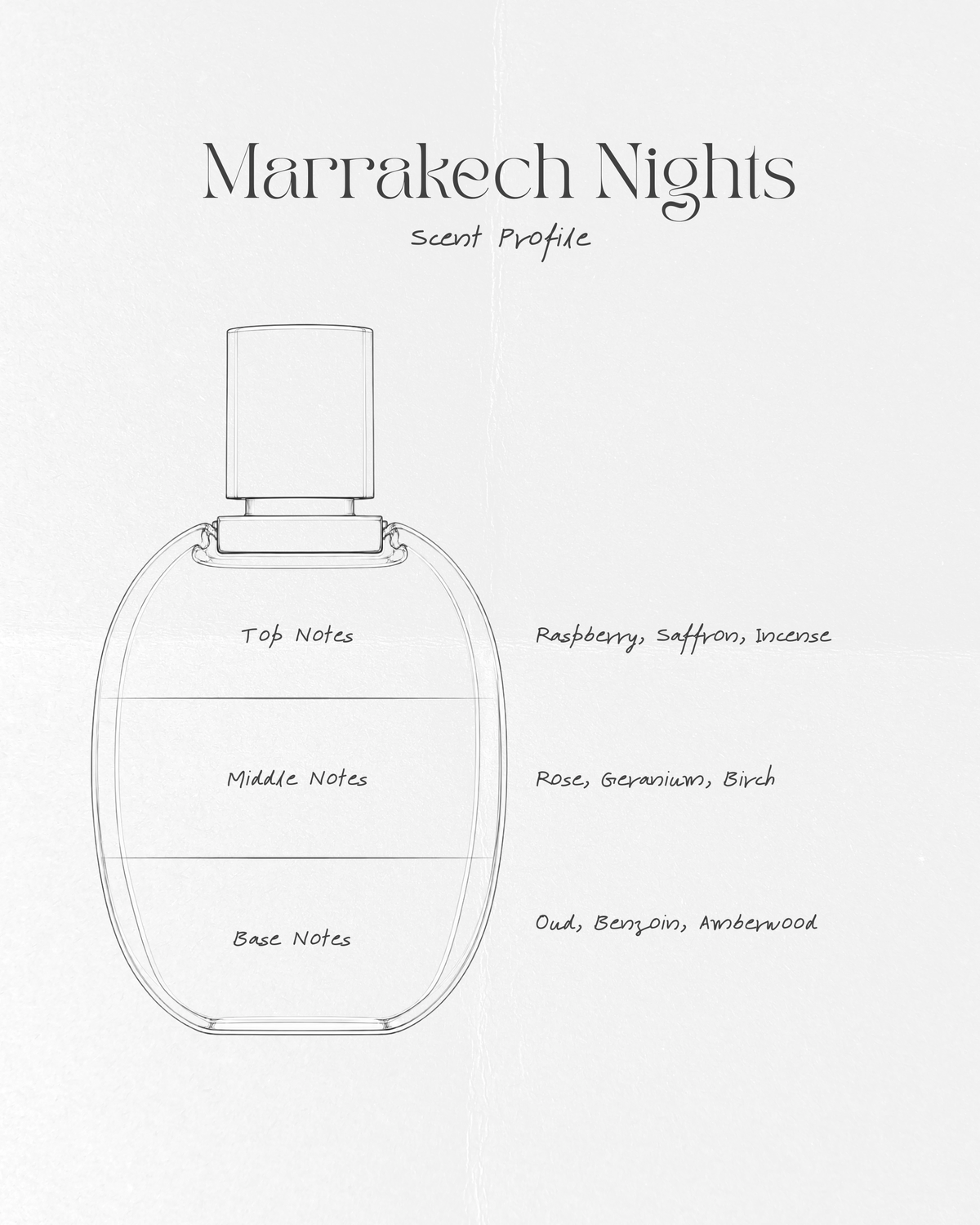 Marrakech Nights