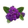 Note Heliotrope