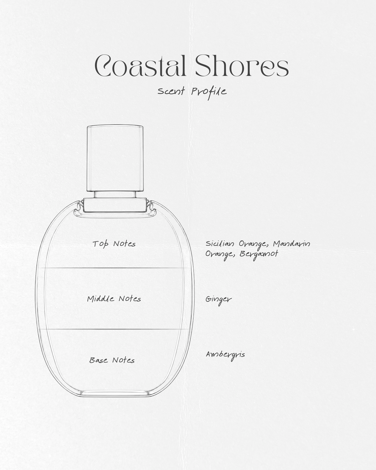 Coastal Shores