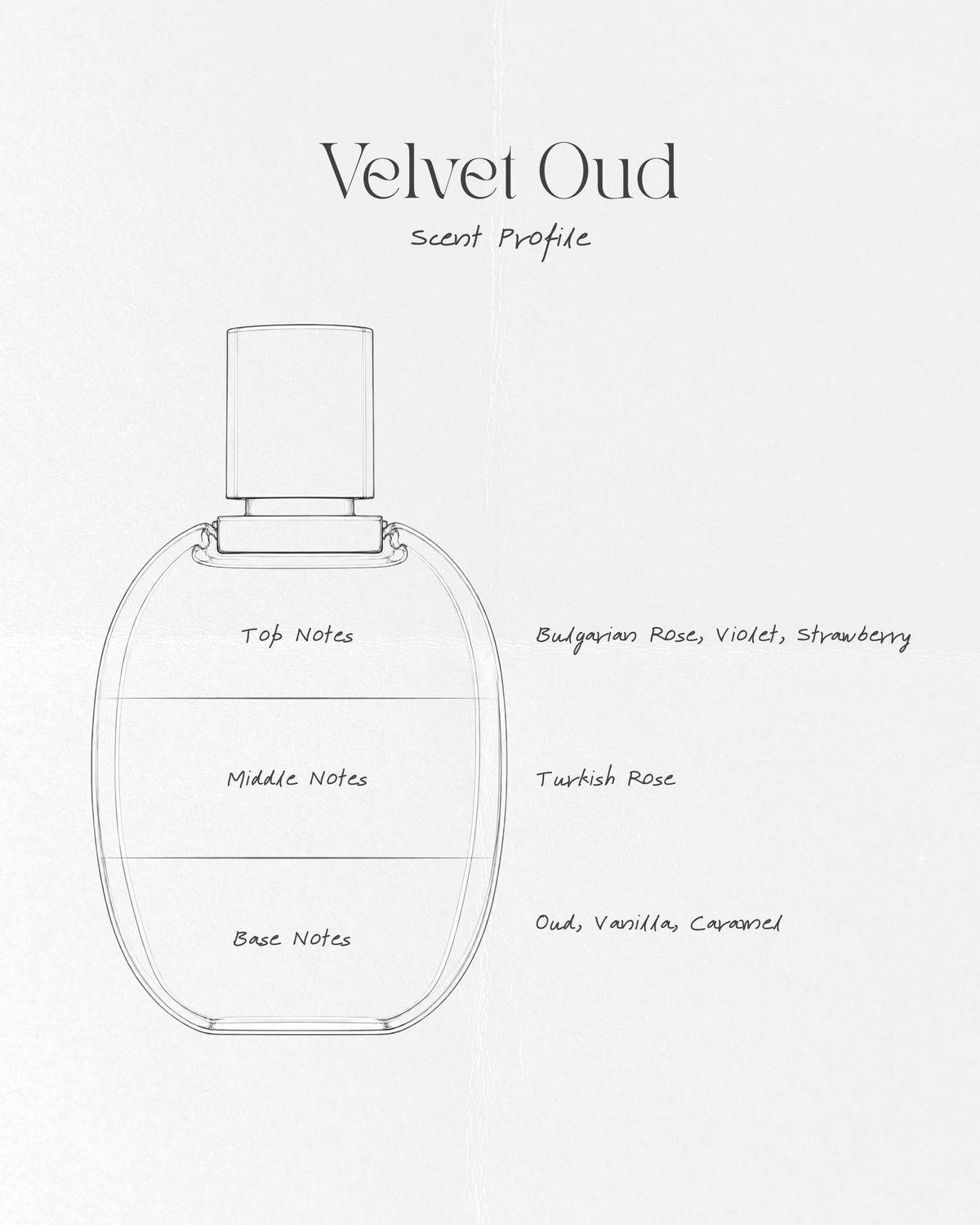 Velvet Oud